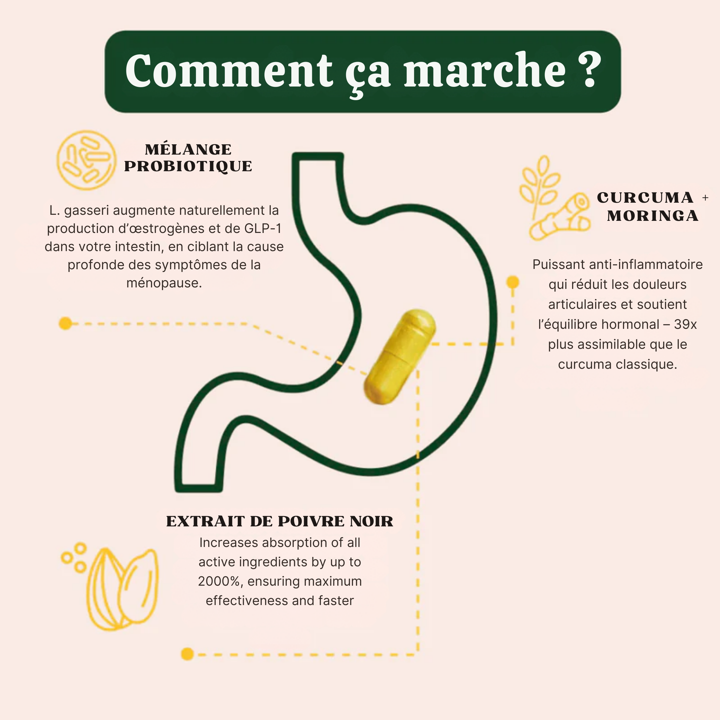 Nouvelle ELLE
