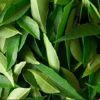 Feuille de curry